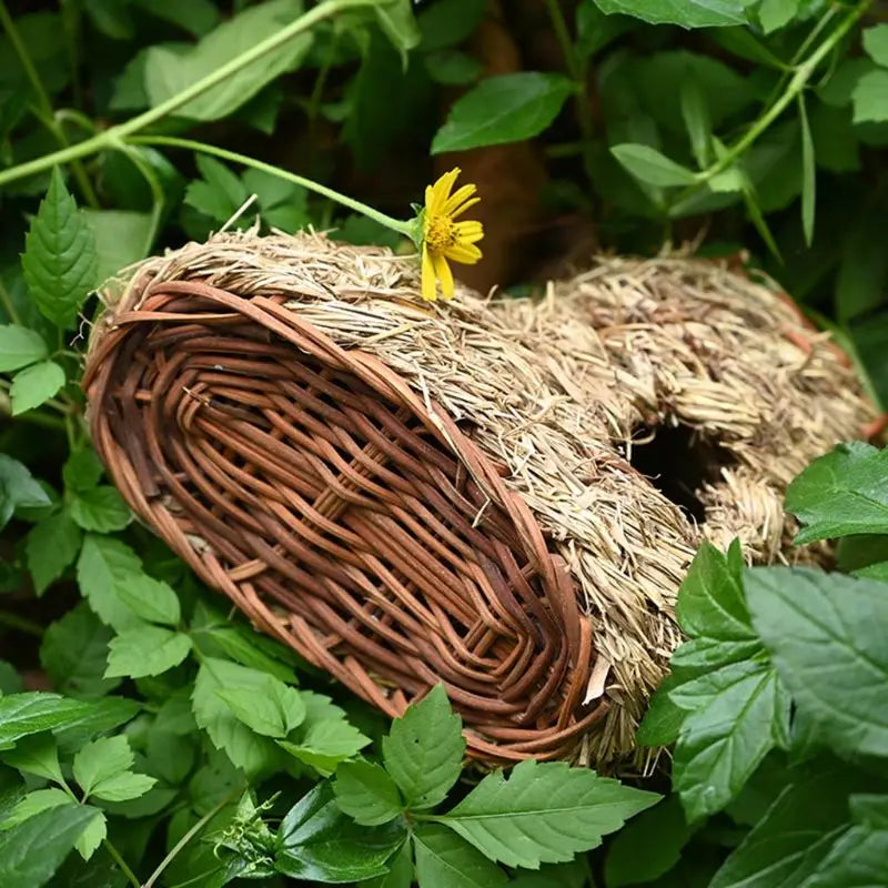 Bird House, Outdoor Decor, Hanging Birdhouse, Nesting Box, Backyard Shelter, Decorative Birdhouse, Natural Wood